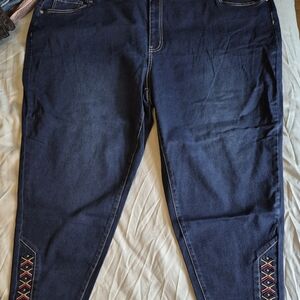 Women's Plus Size 28 Bloom Chic Embroidered Blue Jeans with 25" Inseam